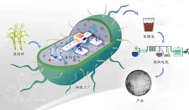 Synthetic Biology Industrial Accelerator: Accelerating New Manufacturing Methods Synthetic Biology Industrial Accelerator: Accelerating New Manufacturing Methods