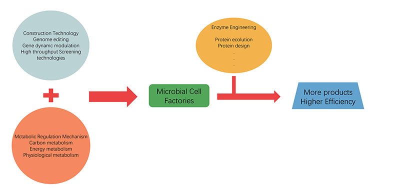 Synthetic Biology Industrial Accelerator: Accelerating New Manufacturing Methods Synthetic Biology Industrial Accelerator: Accelerating New Manufacturing Methods