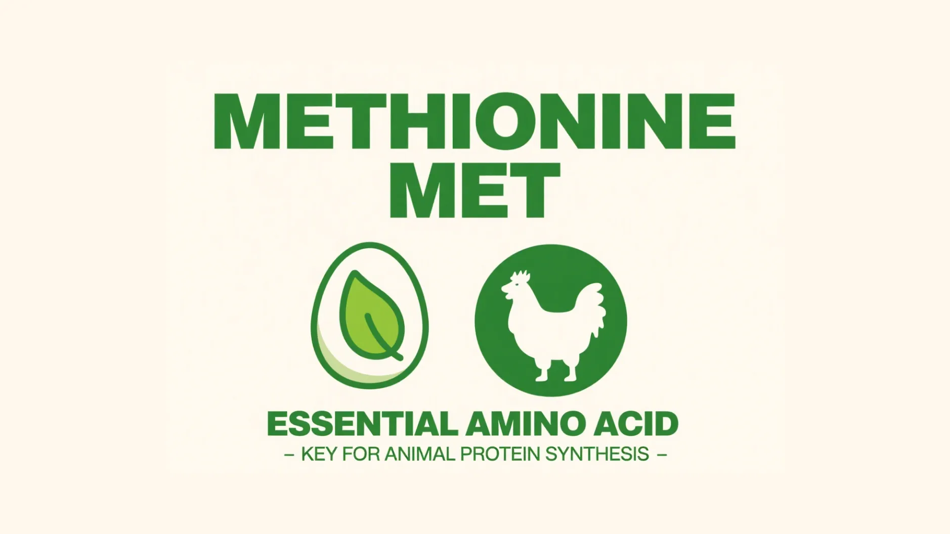 Methionine Process Technology